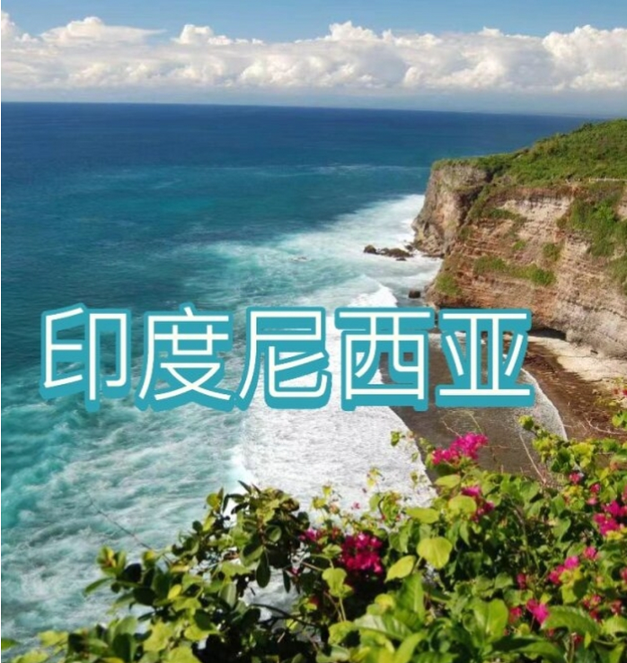 际电商(印尼)产业博览会澳门新葡京2025中国国(图3)