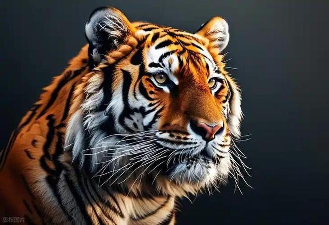 广东有人菜市场看到1只负责人： 都是误会澳门新葡京app运输可判5到10年15年(图11)