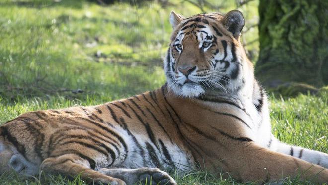 广东有人菜市场看到1只负责人： 都是误会澳门新葡京app运输可判5到10年15年(图8)