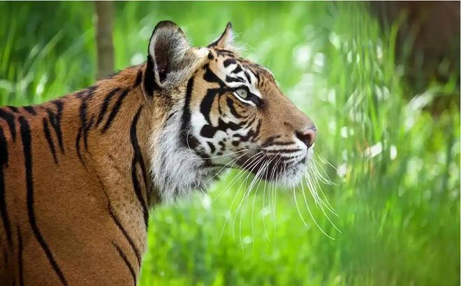 广东有人菜市场看到1只负责人： 都是误会澳门新葡京app运输可判5到10年15年(图18)