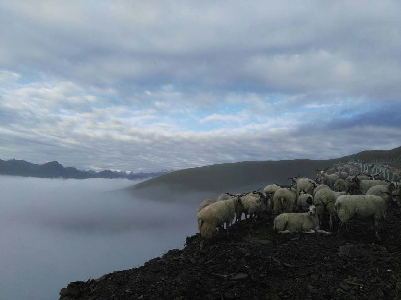 】达瓦更扎看云海新葡京【大美中国(图4) 】达瓦更扎看云海新葡京【大美中国(图4)